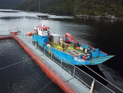 Semarco-Seabed-Remediation