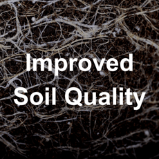 Nanobubbles improve soil rhizosphere without chemicals