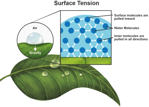 Surface Tension - Water Droplet Graphic