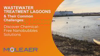 Nanobubbles in wastewater treatment lagoons
