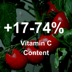 Nanobubbles improve greenhouse tomato fruit vitamin C content by up to 74%