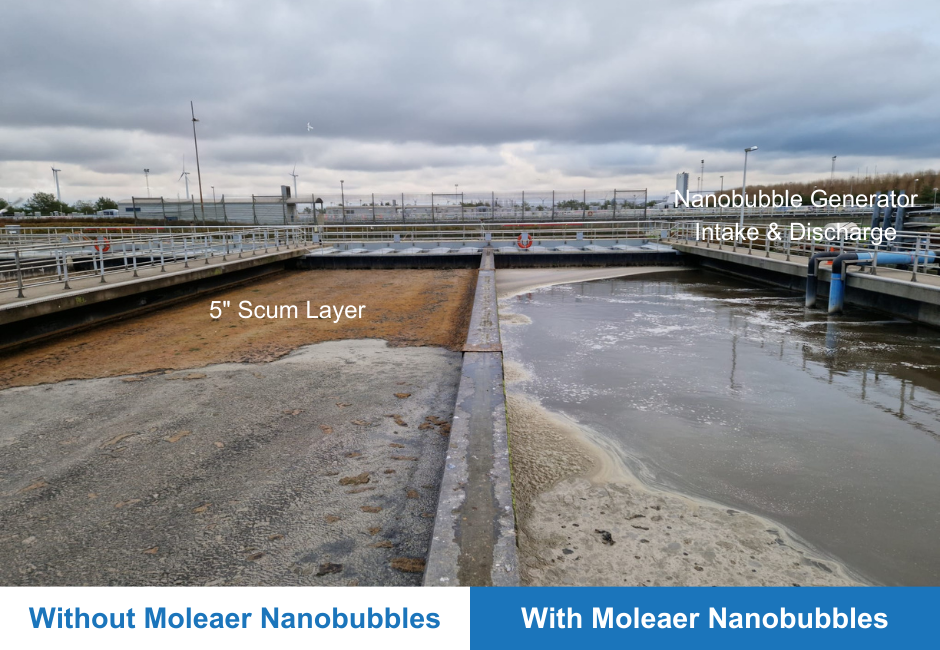 Wastewater treatment primary clarifier scum