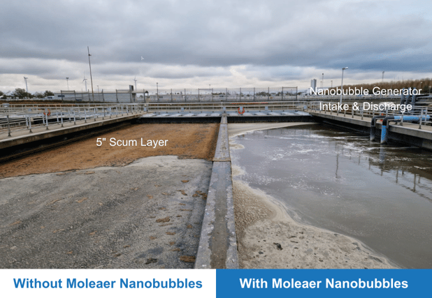Wastewater treatment primary clarifier scum