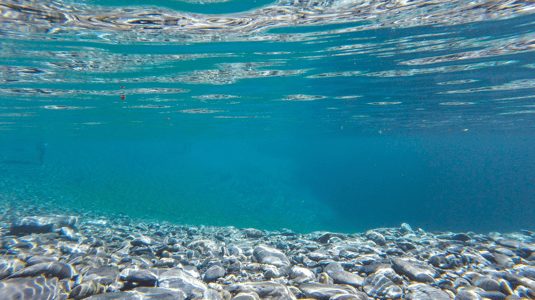Water Clarity