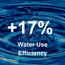 Nanobubbles improve water use efficiency by 17% in tomatoes