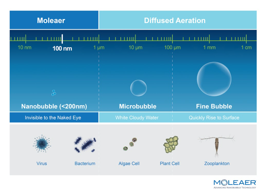 Chart comparing nanobubbles to microbubbles and fine bubbles