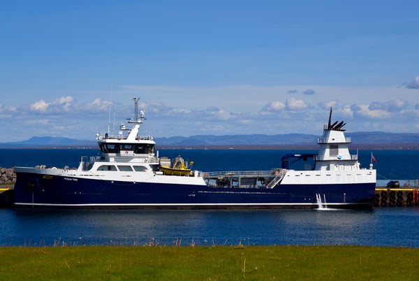 iStock-1788082588_Wellboat