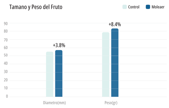 nivel-tamano