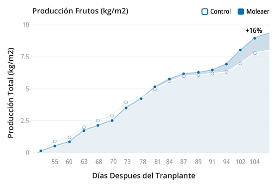 produccion-frutos-biosabor