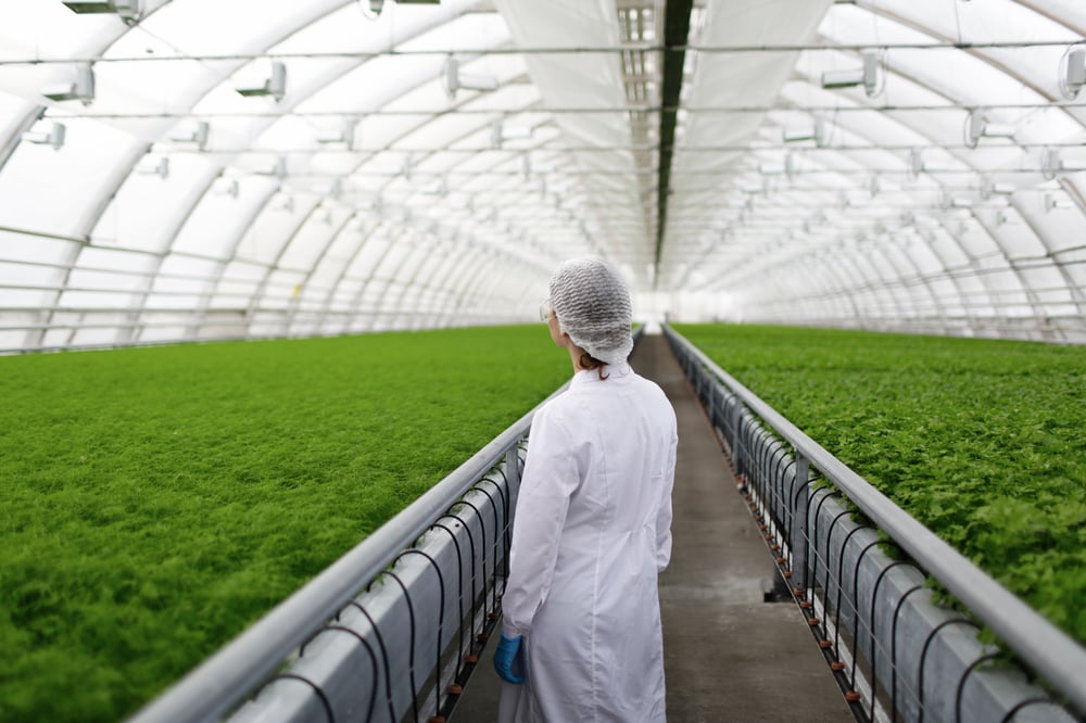 Woman standing in a large greenhouse looking over plants