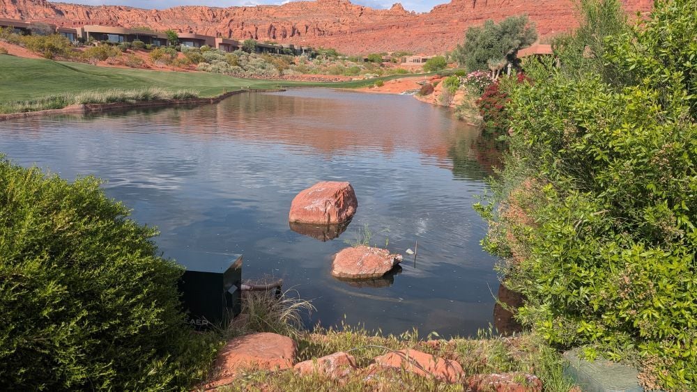 Kingfisher UT