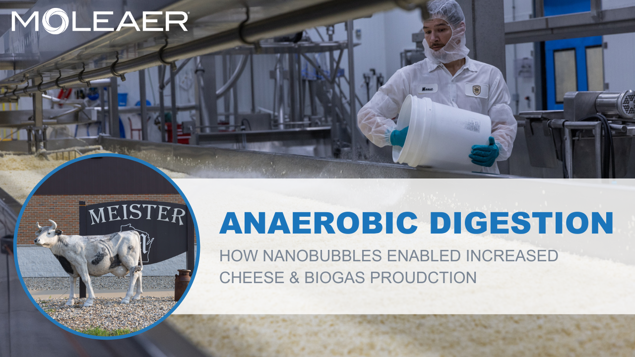 Anaerobic digester at Meister Cheese