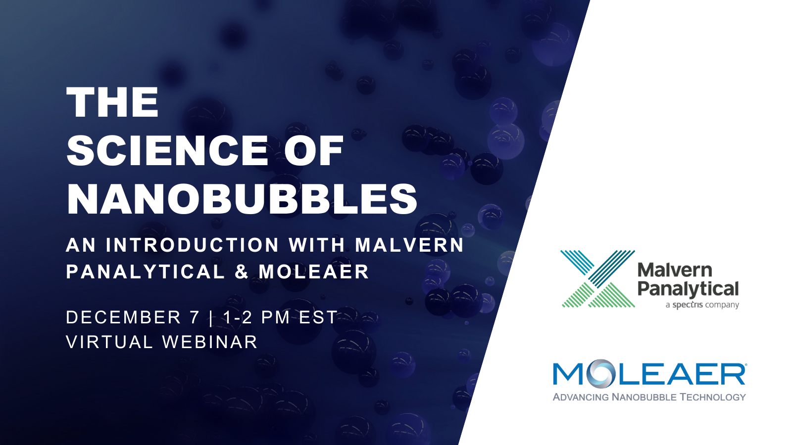 Nanobubble Webinar Malvern