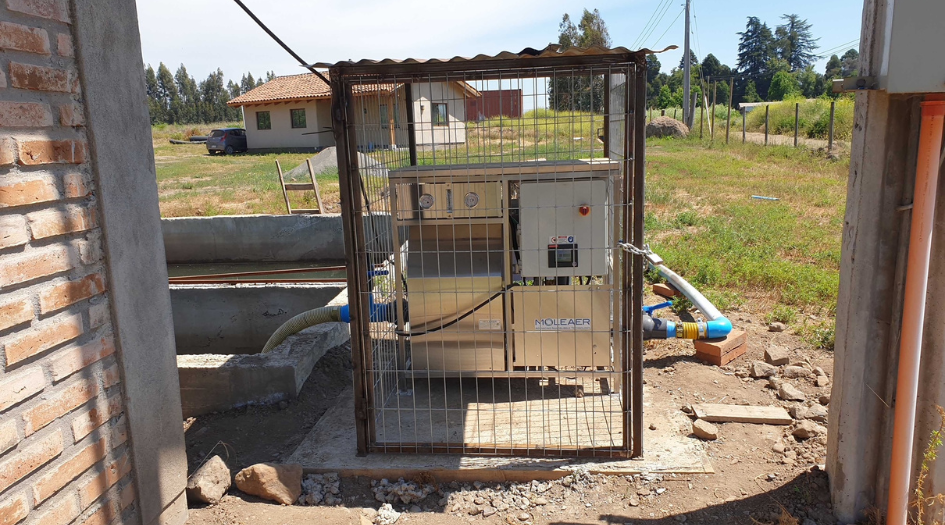 Cerezas | Noble Fruit