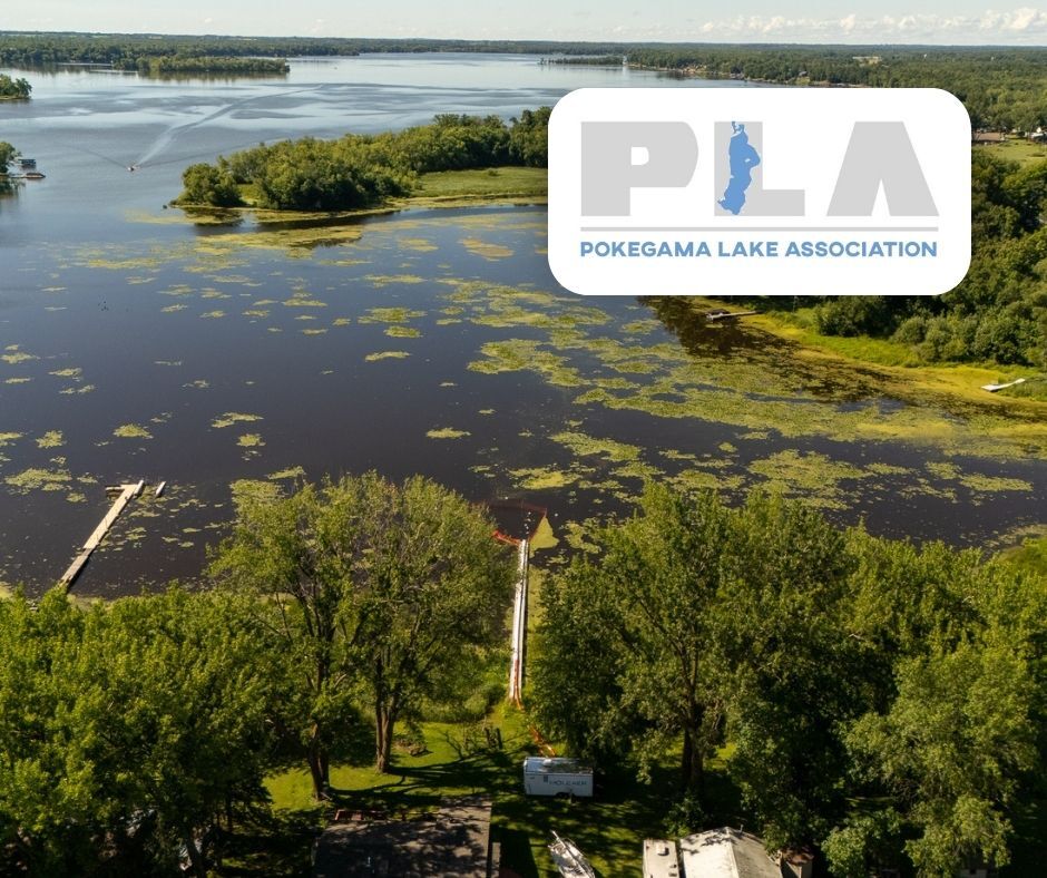 HABs & Toxin Reduction | Pokegama Lake, MN, USA