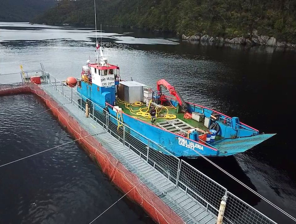 Moleaer and Semarco Partner to Reduce Seabed Remediation Costs