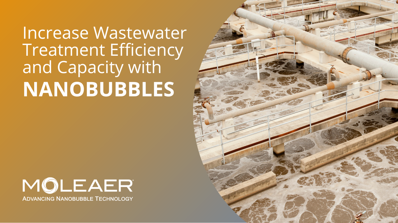 Wastewater Treatment Webinar