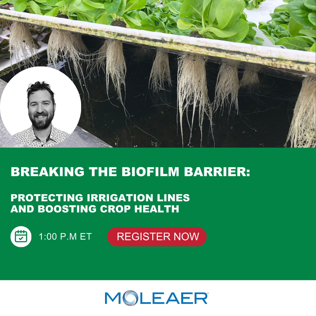 Webinar Series: Breaking the Biofilm Barrier: Protecting Irrigation Lines and Boosting Crop Health