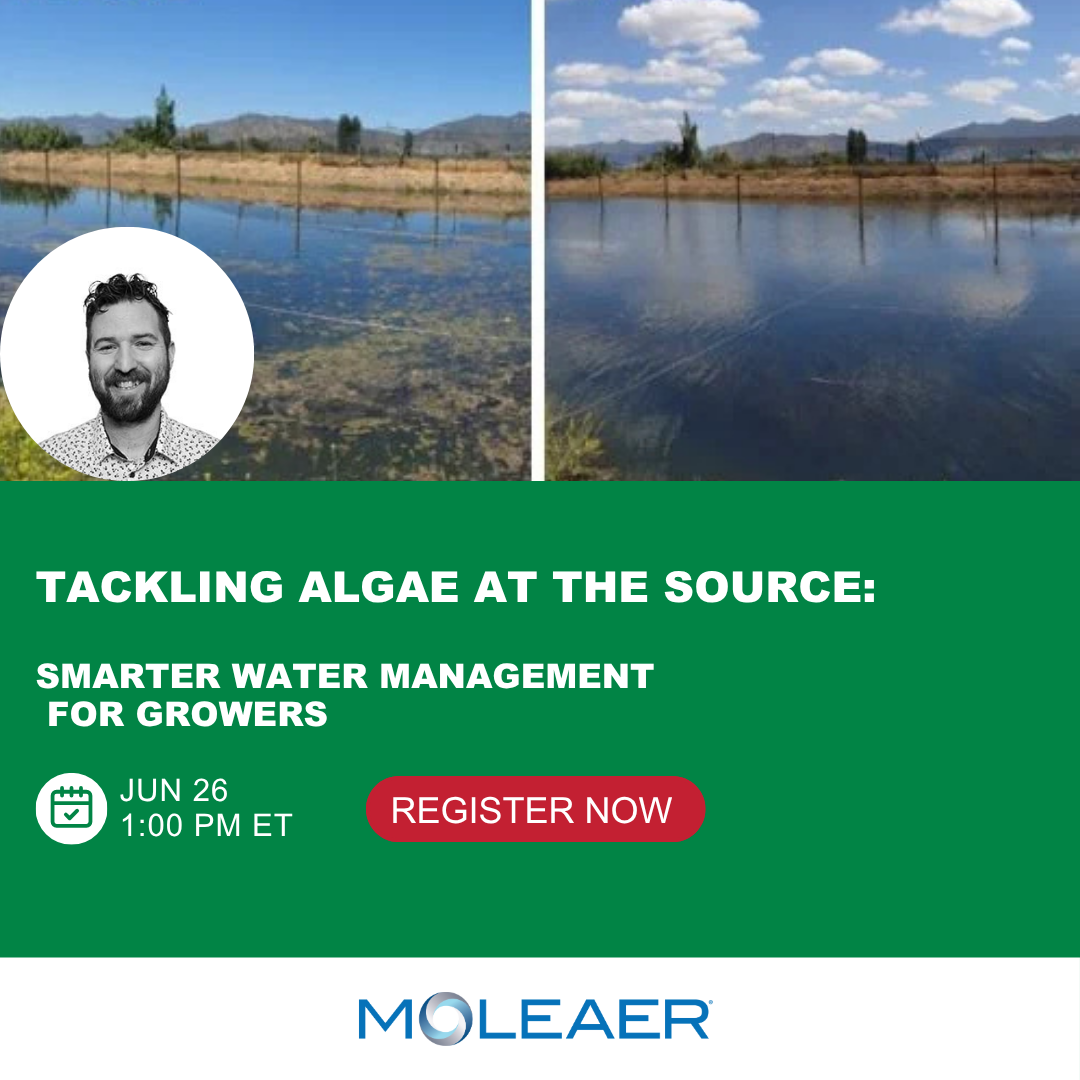 Webinar Series: Tackling Algae at the Source: Smarter Water Management for Growers