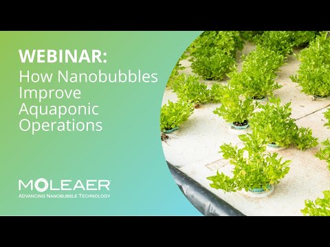 Aquaponics and nanobubbles webinar